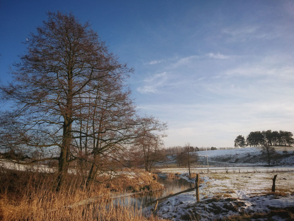 Ciecz o zapachu gnojowicy zanieczyszcza Rezerwat rzeki Pasłęki